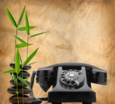 Phone with Bamboo